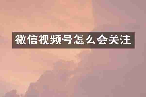 微信视频号怎么会关注