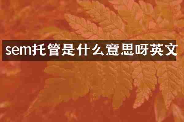 sem托管是什么意思呀英文