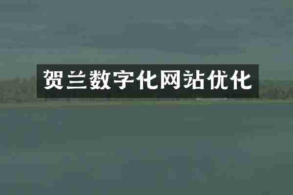 贺兰数字化网站优化