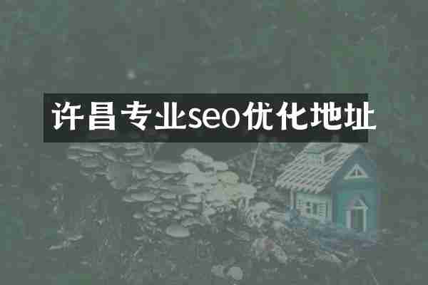 许昌专业seo优化地址