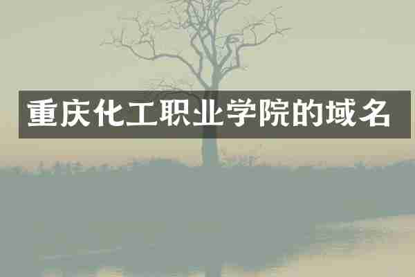 重庆化工职业学院的域名