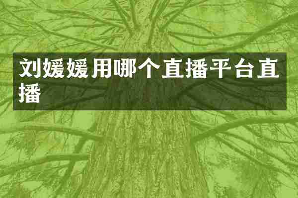 刘媛媛用哪个直播平台直播