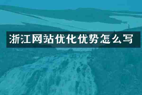 浙江网站优化优势怎么写