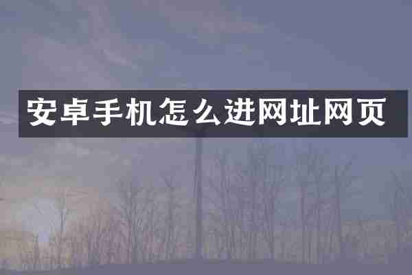 安卓手机怎么进网址网页