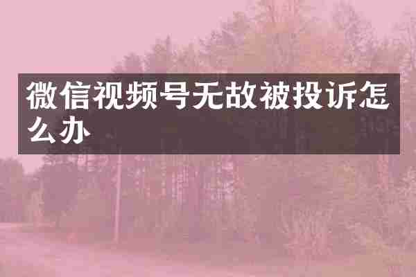 微信视频号无故被投诉怎么办