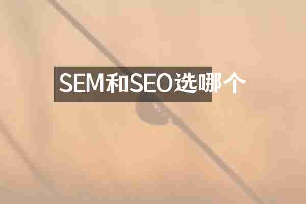 SEM和SEO选哪个