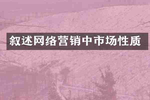 叙述网络营销中市场性质