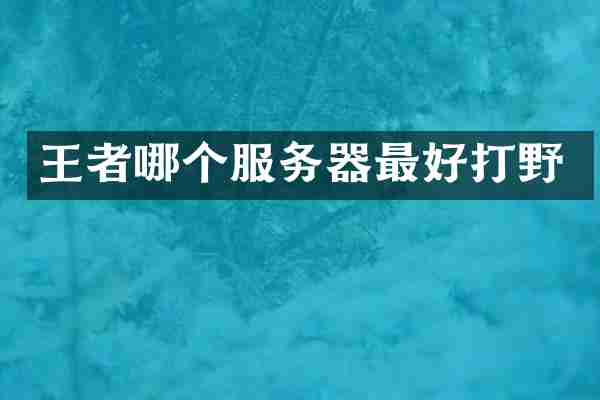 王者哪个服务器最好打野