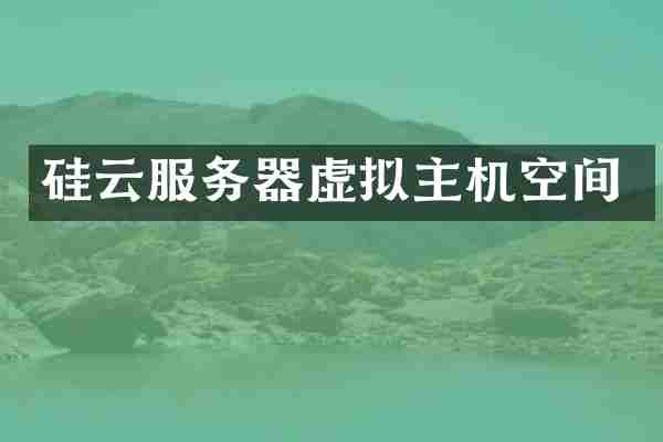 硅云服务器虚拟主机空间