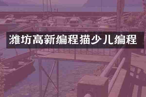 潍坊高新编程猫少儿编程