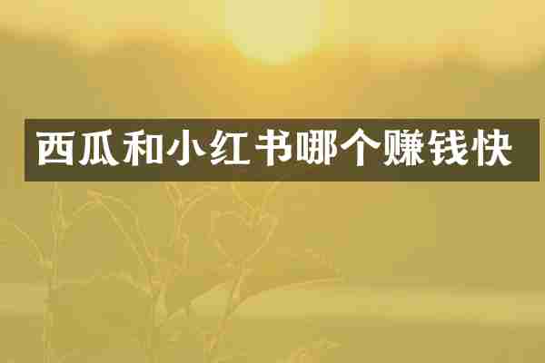 西瓜和小红书哪个赚钱快