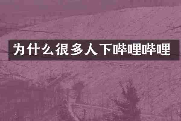 为什么很多人下哔哩哔哩
