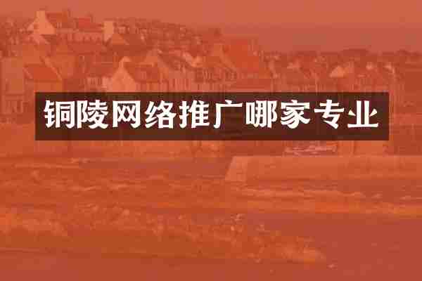 铜陵网络推广哪家专业