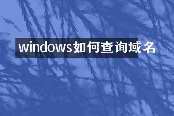 windows如何查询域名