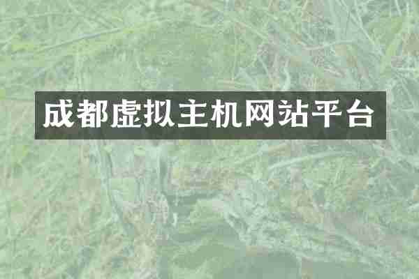 成都虚拟主机网站平台