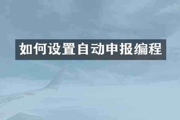 如何设置自动申报编程