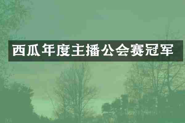 西瓜年度主播公会赛冠军