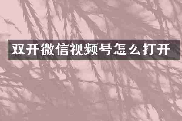 双开微信视频号怎么打开