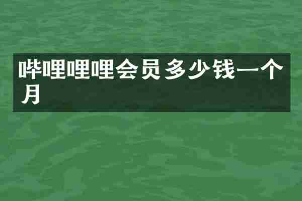 哔哩哩哩会员多少钱一个月