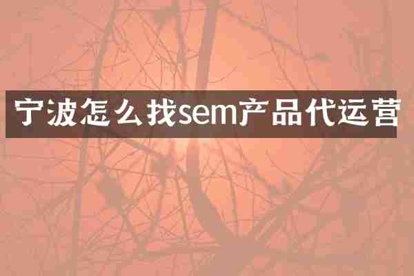 宁波怎么找sem产品代运营