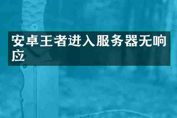 安卓王者进入服务器无响应