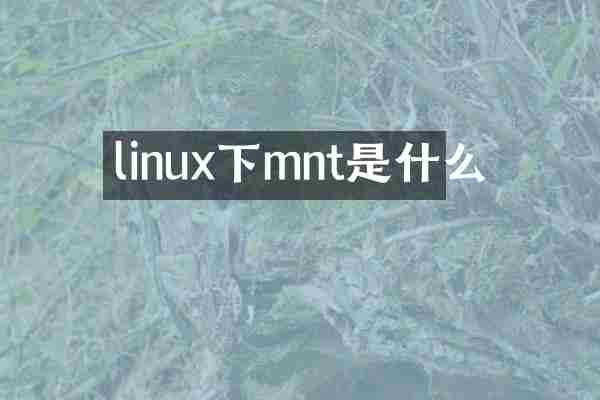 linux下mnt是什么