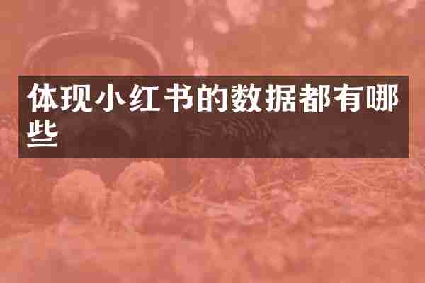 体现小红书的数据都有哪些