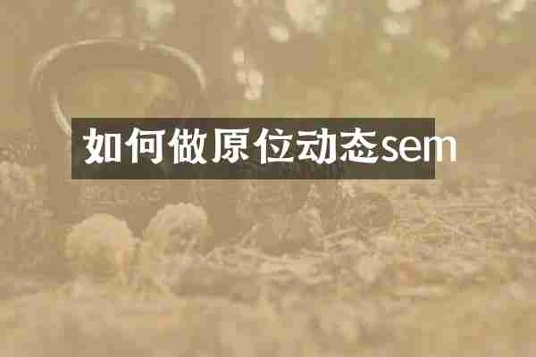 如何做原位动态sem