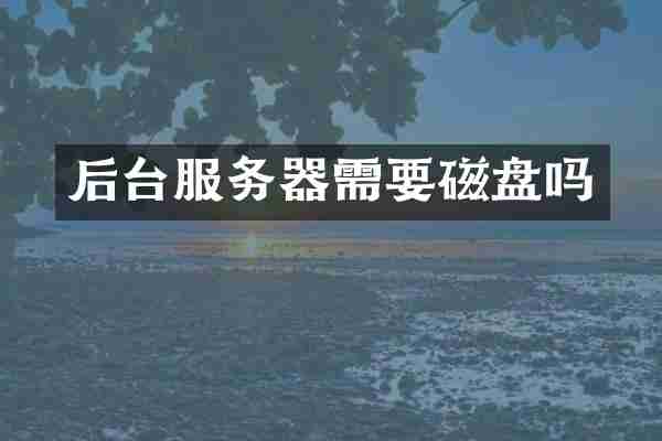 后台服务器需要磁盘吗