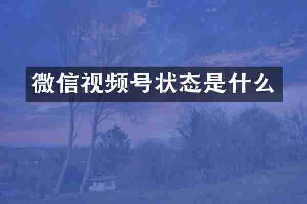 微信视频号状态是什么