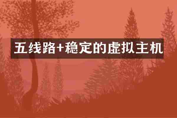 五线路+稳定的虚拟主机