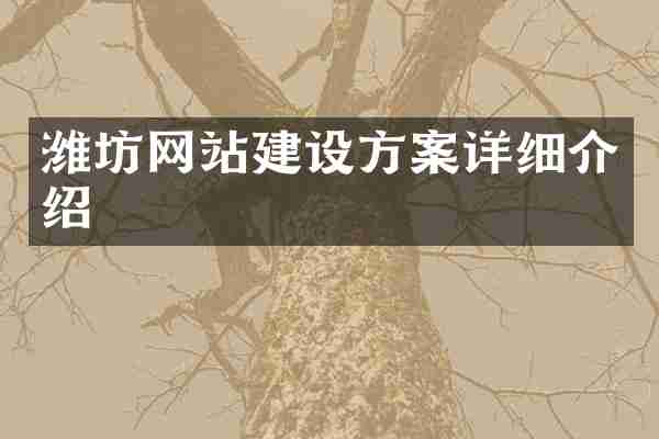 潍坊网站建设方案详细介绍