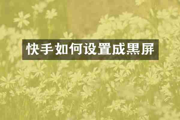 快手如何设置成黑屏