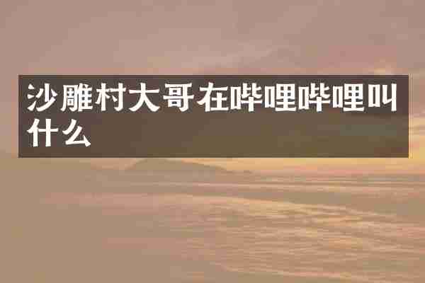 沙雕村大哥在哔哩哔哩叫什么