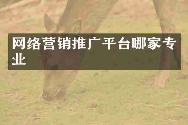 网络营销推广平台哪家专业