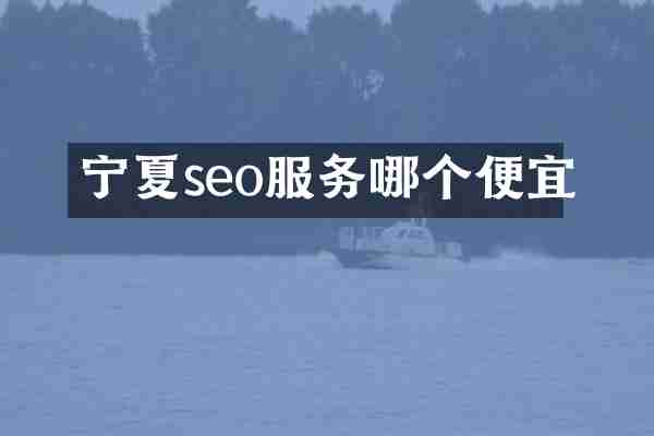 宁夏seo服务哪个便宜