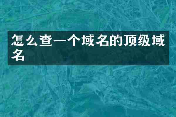 怎么查一个域名的顶级域名