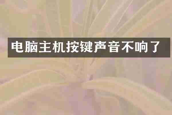 电脑主机按键声音不响了