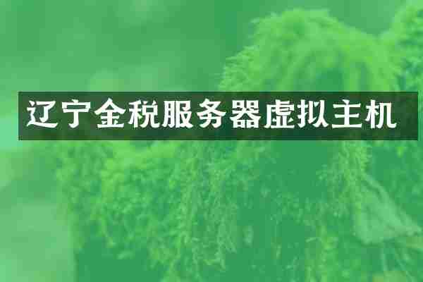 辽宁金税服务器虚拟主机