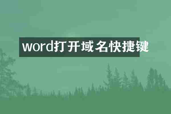 word打开域名快捷键
