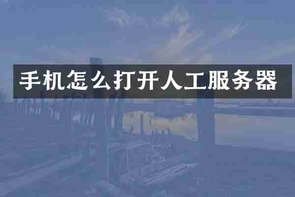 手机怎么打开人工服务器