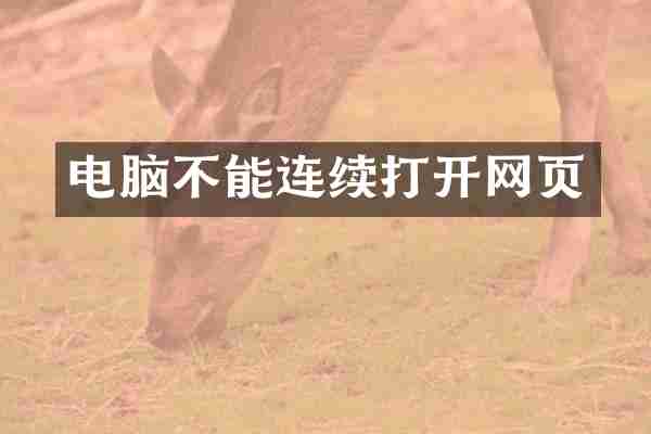 电脑不能连续打开网页