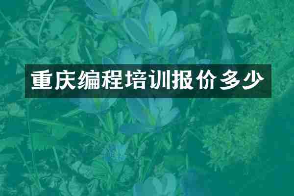 重庆编程培训报价多少
