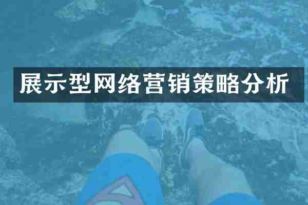 展示型网络营销策略分析