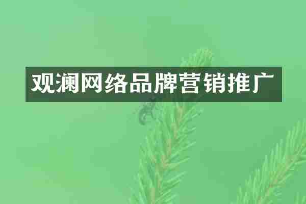 观澜网络品牌营销推广
