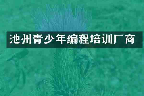 池州青少年编程培训厂商