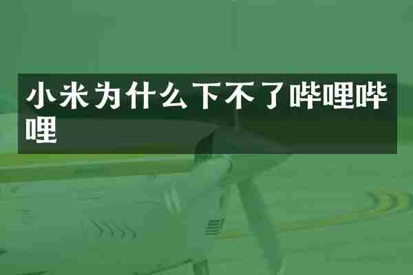 小米为什么下不了哔哩哔哩