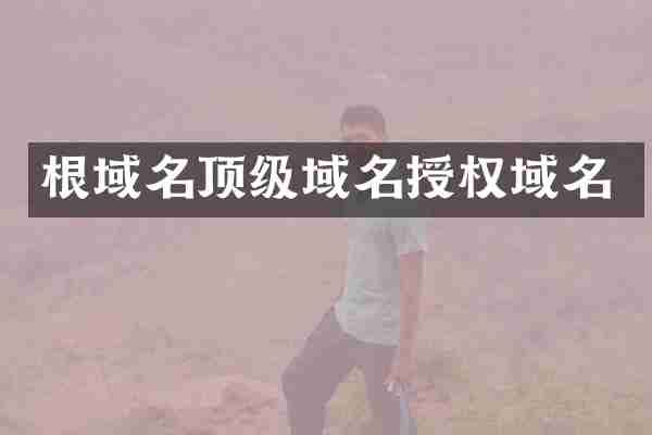 根域名顶级域名授权域名