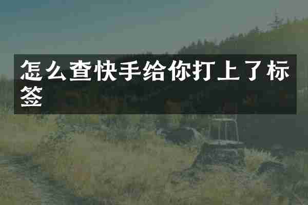 怎么查快手给你打上了标签