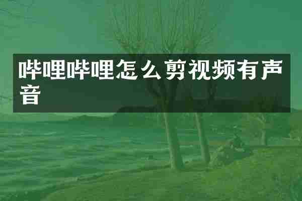 哔哩哔哩怎么剪视频有声音